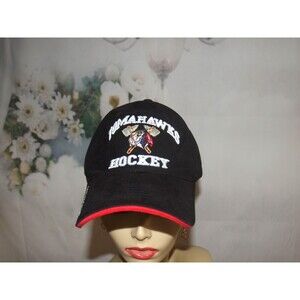 Johnstown Tomahawks Hat NHL Minor League Hat Embroidered Unisex Adult